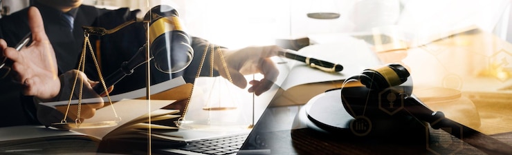 Legal consultation services